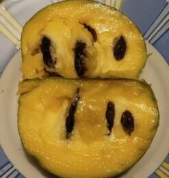 Veredelte Indianerbanane (Paw Paw) `Shenandoah®´ Asimina Triloba `Shenandoah´ -Premium-Pflanzenauswahl-Shop Indianerbanane von Innen5a0476156796c