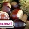 Esskastanie `Maraval´ Castanea Sativa `Maraval´