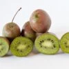 Großfrüchtige Bayern-Kiwi `Pink Jumbo´ Actinidia Arguta `Pink Jumbo´ 1 Großfrüchtige Bayern-Kiwi `Pink Jumbo´ Actinidia Arguta `Pink Jumbo´ -Premium-Pflanzenauswahl-Shop Pink Jumbo1