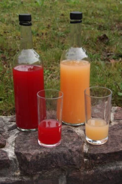 Rosette® Malus Domestica -Premium-Pflanzenauswahl-Shop Rosette Saft