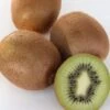 Kiwi `Solissimo´® Actinidia Deliciosa 2 Kiwi `Solissimo´® Actinidia Deliciosa -Premium-Pflanzenauswahl-Shop actinidia deliciosa kiwi 1s1b4334