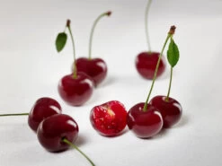 Achat Ⓢ Prunus Cerasus `Achat´ -Premium-Pflanzenauswahl-Shop sauerkirsche achat ggmc5Q8G1QL1D9