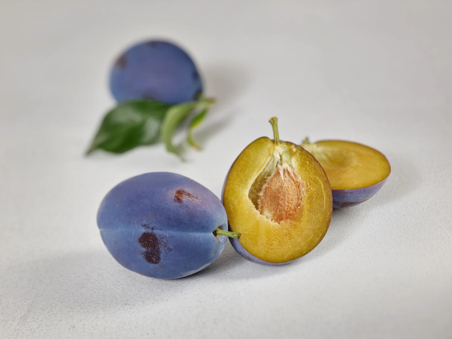 Haganta (S) Prunus Domestica `Haganta´ 6 Haganta (S) Prunus Domestica `Haganta´ – Bild 4