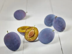 Hanita ® Prunus Domestica `Hanita -Premium-Pflanzenauswahl-Shop zwetschge hanita g